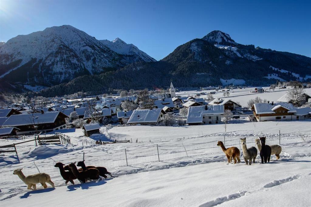 Alpakahof Wechs Villa Bad Hindelang Buitenkant foto