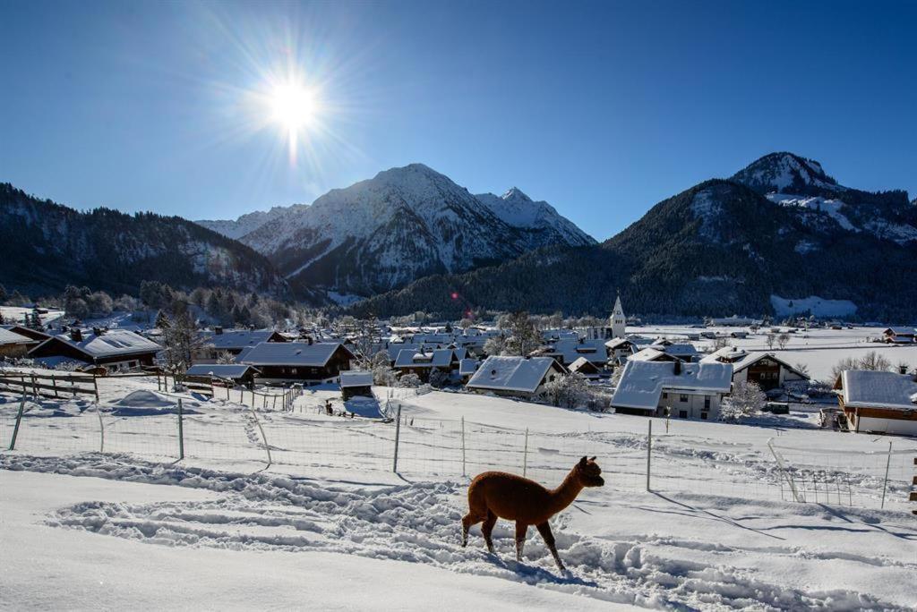 Alpakahof Wechs Villa Bad Hindelang Buitenkant foto