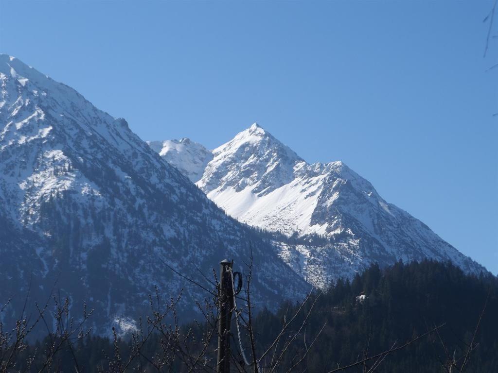 Alpakahof Wechs Villa Bad Hindelang Buitenkant foto