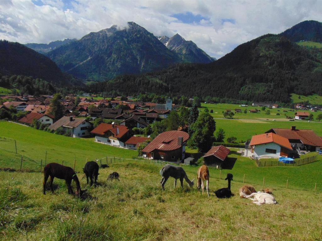 Alpakahof Wechs Villa Bad Hindelang Buitenkant foto
